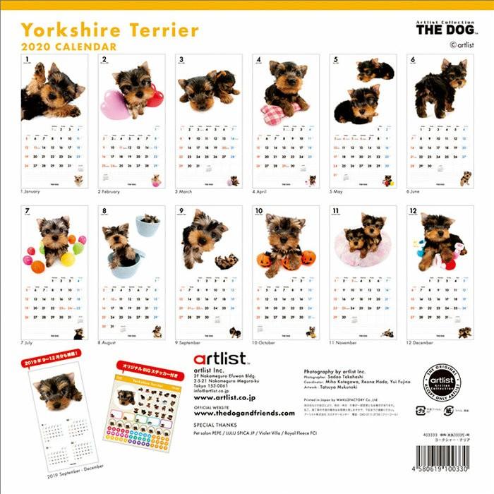 カレンダー 2020 壁掛け 犬 ヨークシャー テリア 動物 アニマル 壁掛けカレンダー 2020年 Tcl201135 Zakka Green 通販 Yahoo ショッピング