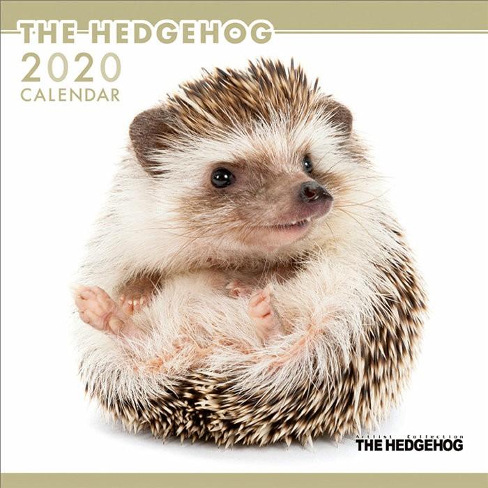 カレンダー 壁掛け The Hedgehog 動物 アニマル 壁掛けカレンダー 年 Tcl1143 Zakka Green 通販 Yahoo ショッピング