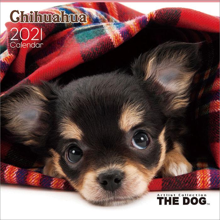 21年 カレンダー 21 壁掛け 動物 犬 チワワ Tcl2119 Zakka Green 通販 Yahoo ショッピング