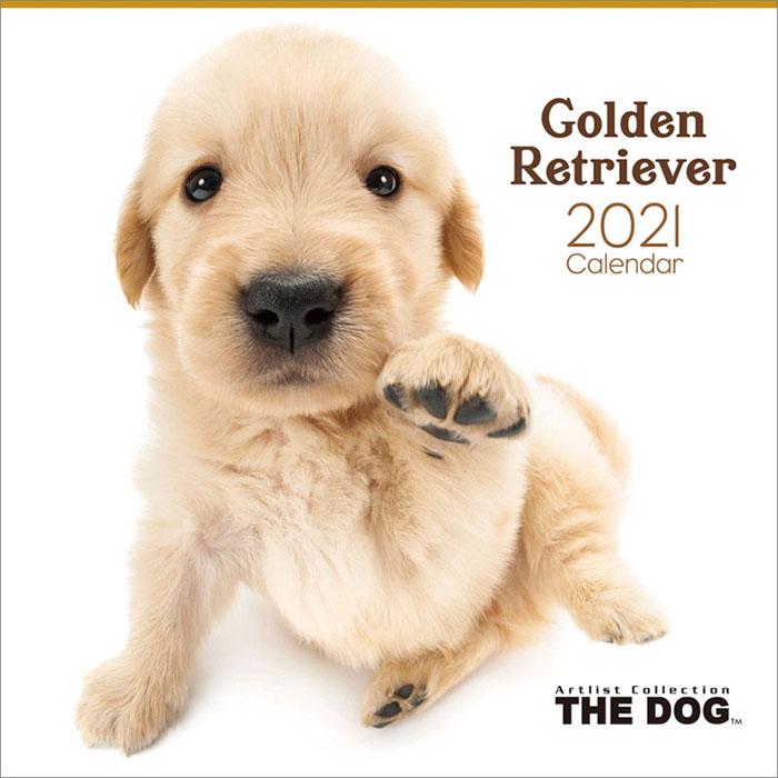21年 カレンダー 21 壁掛け 動物 犬 ゴールデン レトリーバー Tcl Zakka Green 通販 Yahoo ショッピング