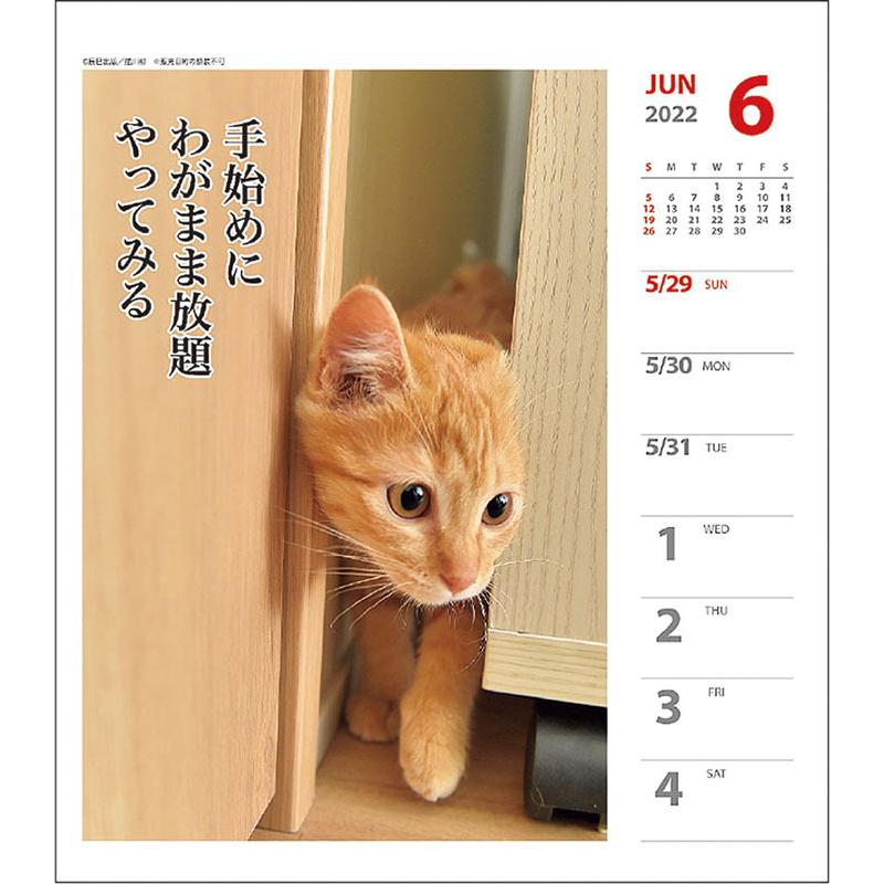 最大53 オフ ネコまる 週めくり 22 卓上 カレンダー Www Anavara Com