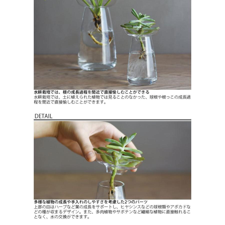 Kinto キントー 花瓶 ガラス おしゃれ 一輪挿し Aqua Culture Vase S クリア 841 フラワーベース 花器 花 グリー Th Zakka Green 通販 Yahoo ショッピング