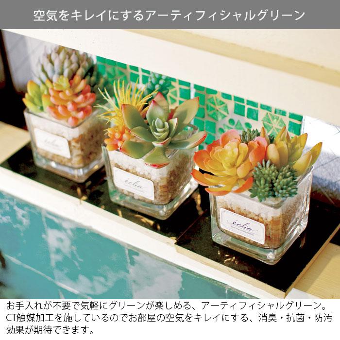 フェイクグリーン 卓上 おしゃれ 小さい 観葉植物 フェイク エクリア 消臭アーティフィシャルグリーン Sサイズ 人工観葉植物 多肉植物 CT触媒｜gita｜02