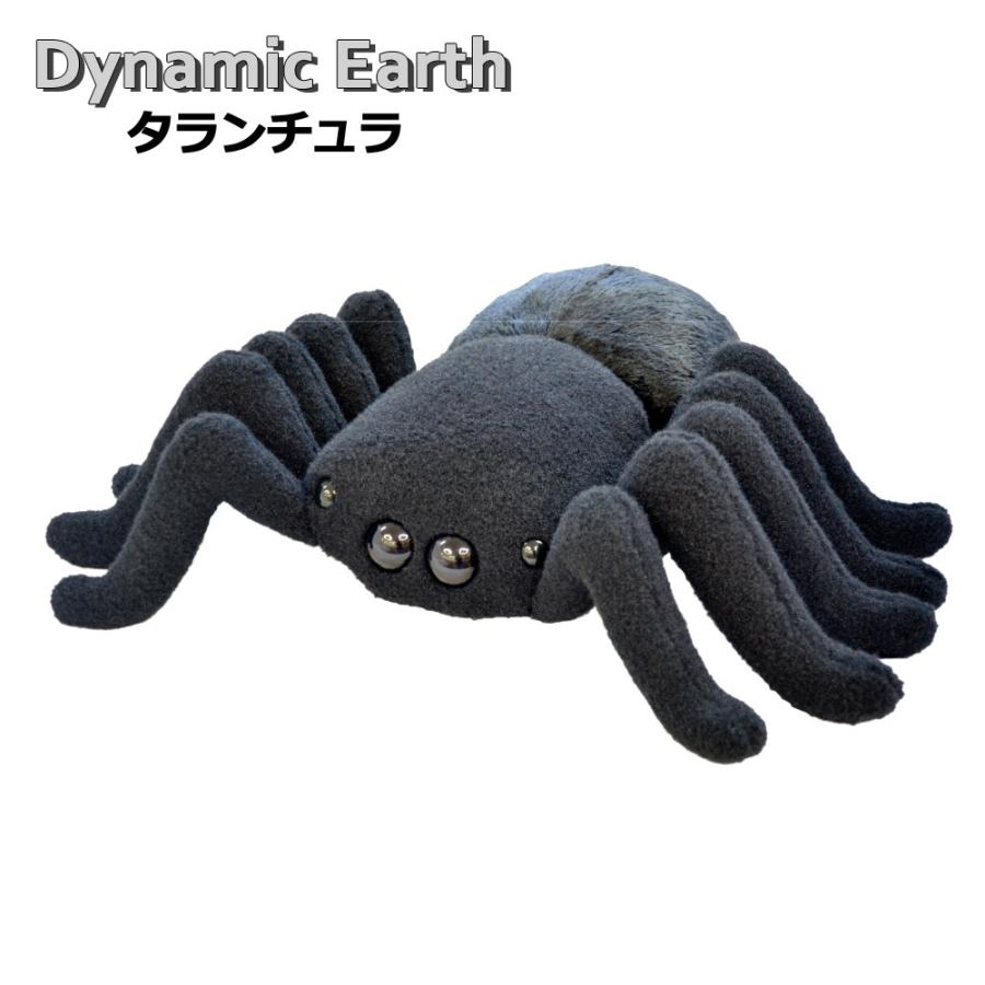 ぬいぐるみ 大きい 昆虫 クモ タランチュラ Dynamic Earth キッズ リアル Bigサイズ 特大 男の子 ビッグサイズ ふわ Yni Zakka Green 通販 Yahoo ショッピング