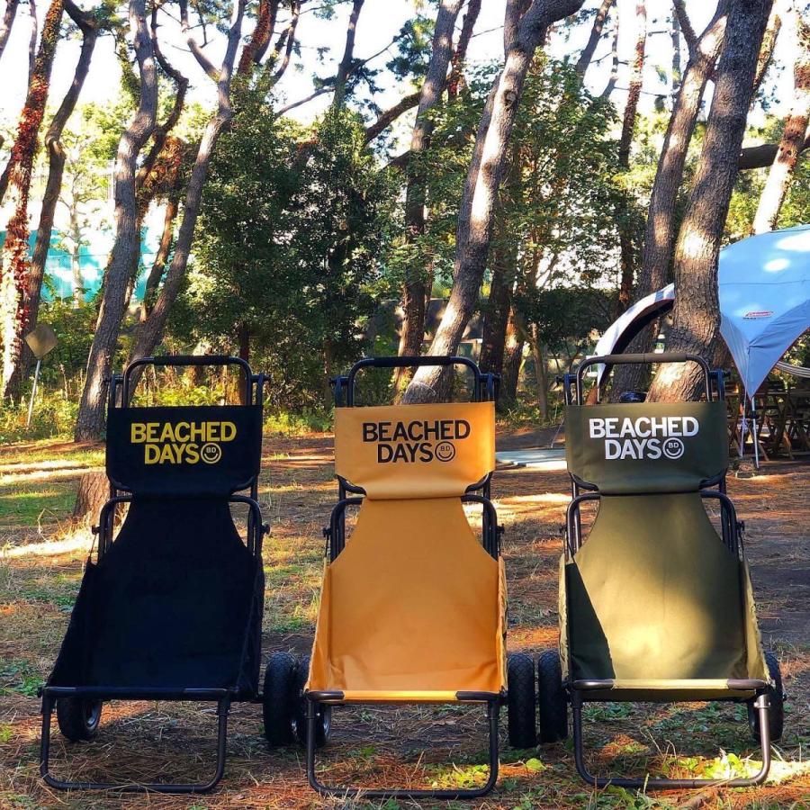 直接お渡し希望　[美品] BEACHED DAYS アウトドアチェア BEACHED DAYS BEACHED DAYS Compact Chair / ビーチドデイズ