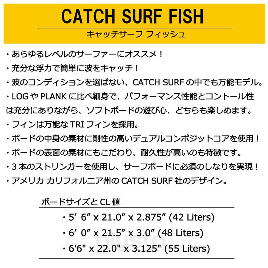 CATCH SURF / BLANK 56 Black Fish / キャッチサーフ ブランク フィッシュトライフィン CATCH SURF BLANK Black Fish キャッチサーフ ブランク