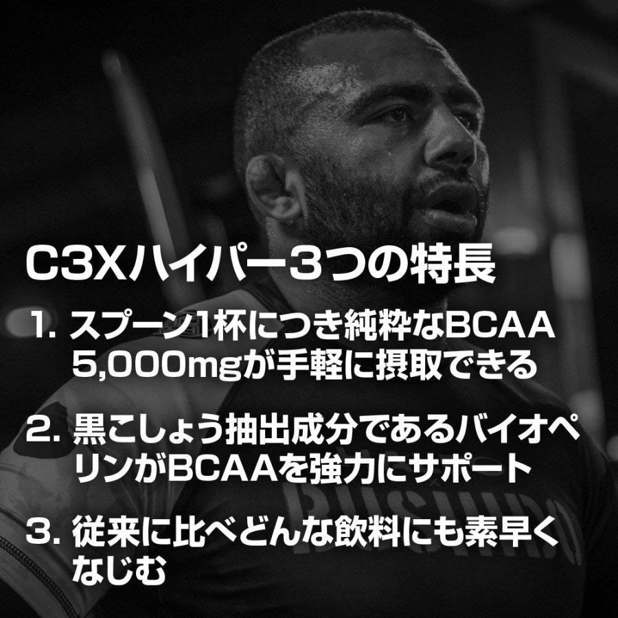 HALEO（ハレオ） C3X HYPER / 500g グリーンアップル / アミノ酸 BCAA