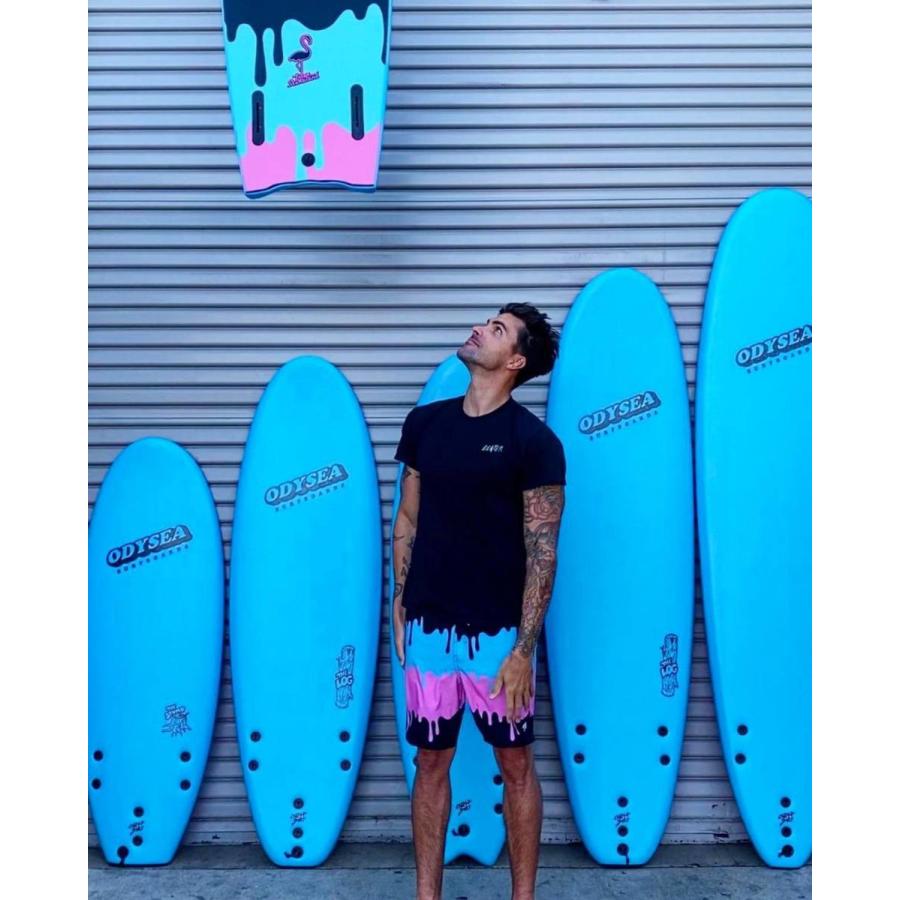 CATCH SURF / LOG 6'0 Tri fin TYLER STANALAND キャッチサーフ ログ