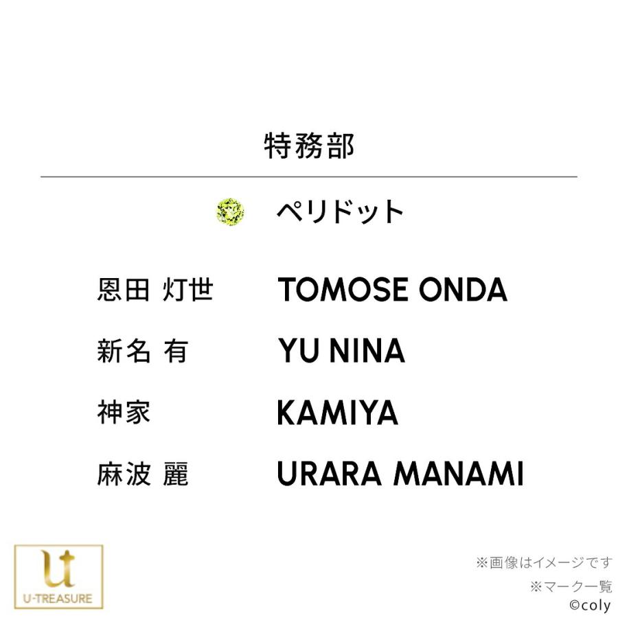 ブレイクマイケース グッズ 指輪 リング シルバー 選べるスタッフ