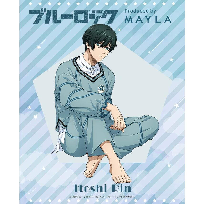 Free! mayla マイラ ルームウェア ラウンジウェア 遙 クリアファイル Free! mayla マイラ ルームウェア ラウンジウェア 遙 クリアファイル