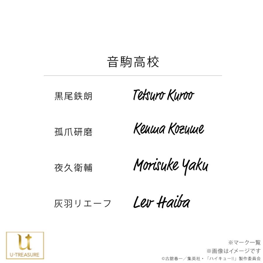 ハイキュー 孤爪研磨 リングネックレス アニメ「ハイキュー‼」リングネックレス。烏野高校・青葉城西