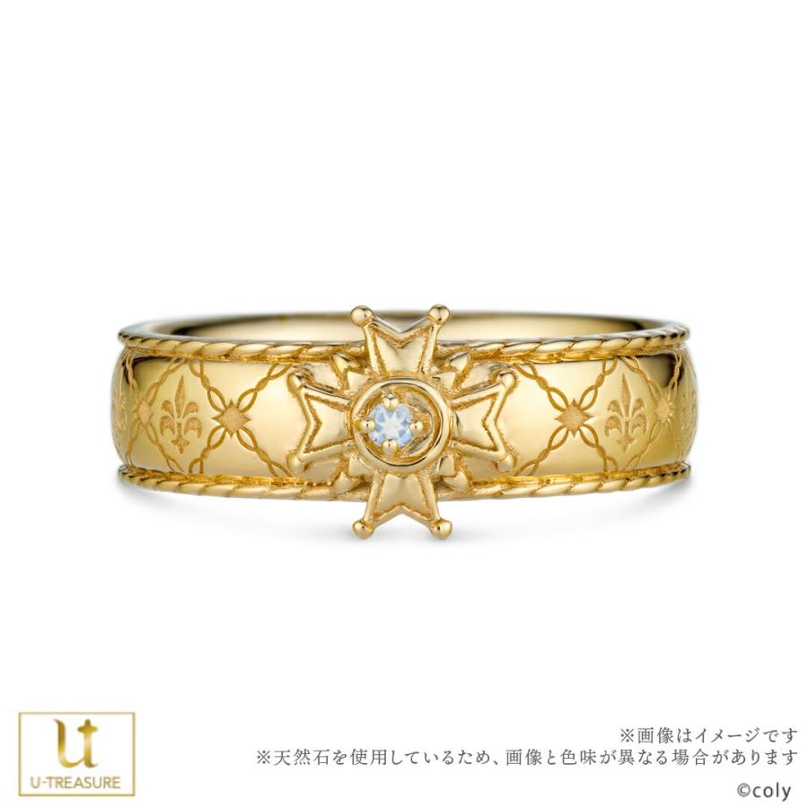 魔法使いの約束 グッズ リング 指輪 5th Anniversary シルバー