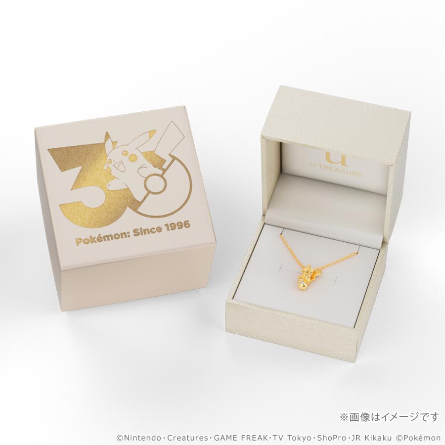 Pokemon（ポケモン） グッズ アクセサリー 【ポケモン30周年モデル