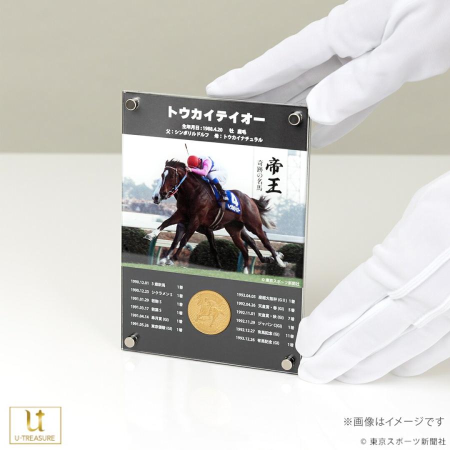 トウカイテイオー 純金コイン K24 数量限定 100枚 シリアルナンバー