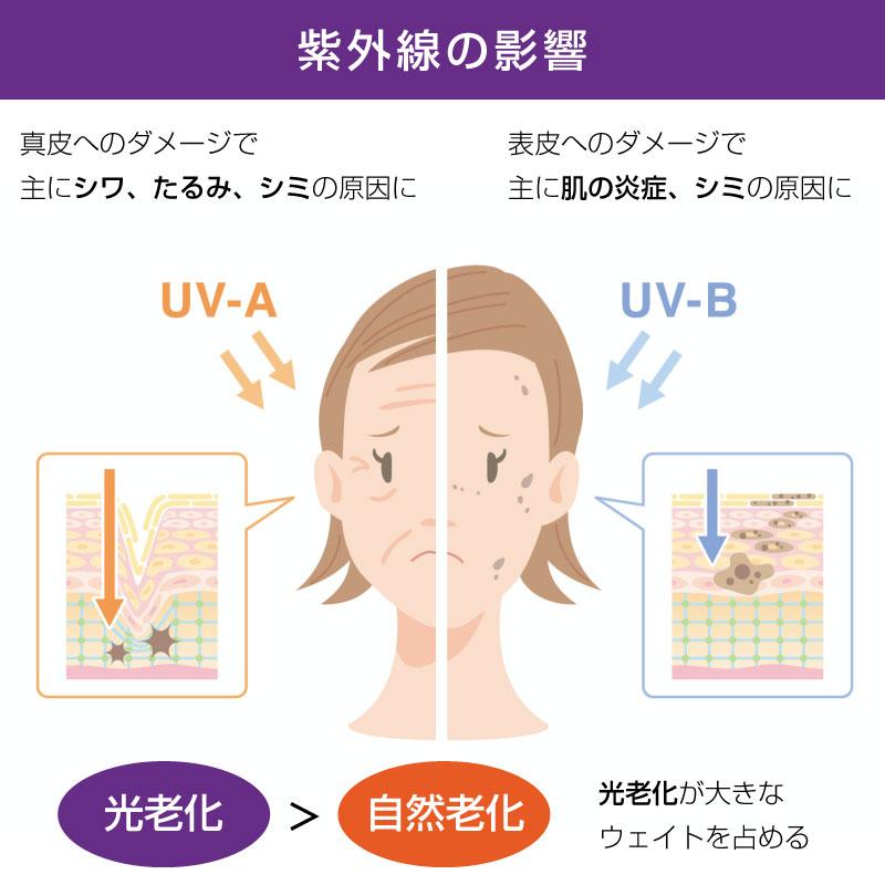 植物幹細胞＋ビフィズス菌培養液配合 高機能シートマスク 30枚セット 1枚25ml 潤い・ハリ・ツヤ・肌荒れ防止｜give-give｜04