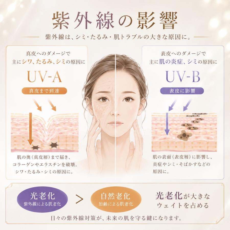 シートマスク24枚セット 植物幹細胞 ビフィズス菌培養液配合 高機能
