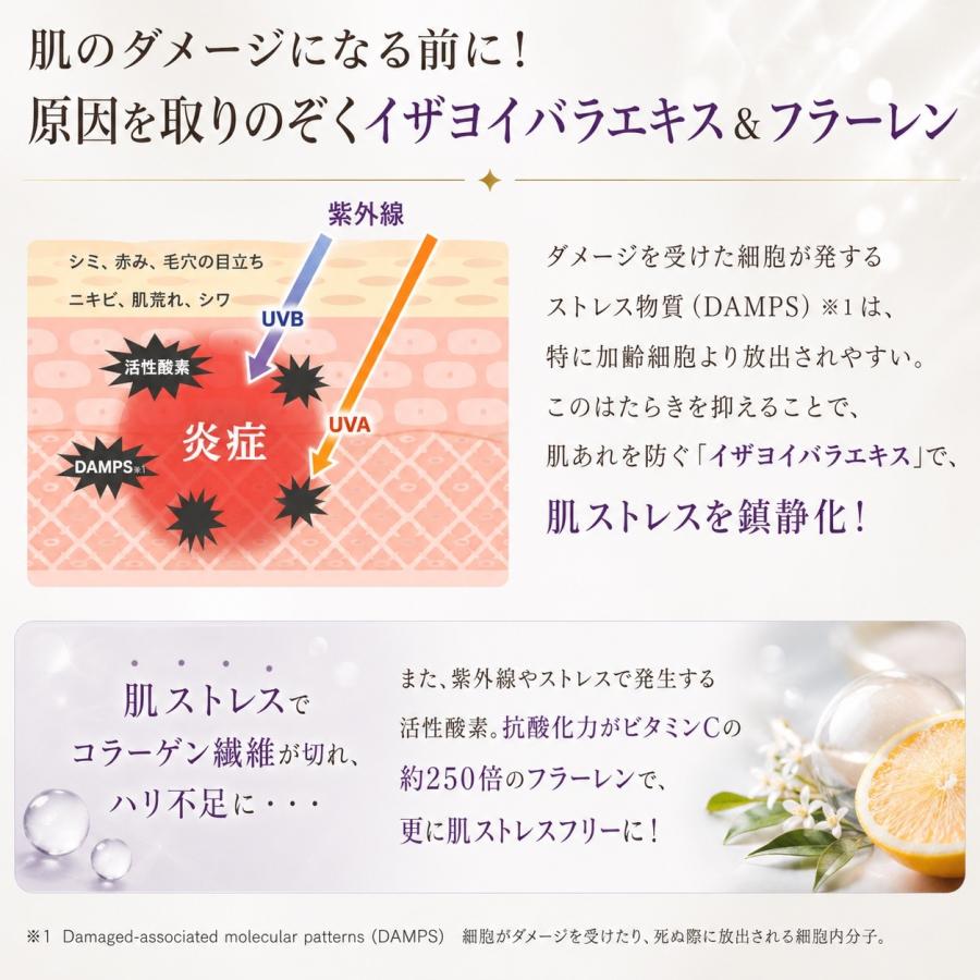 シートマスク24枚セット 植物幹細胞 ビフィズス菌培養液配合 高機能