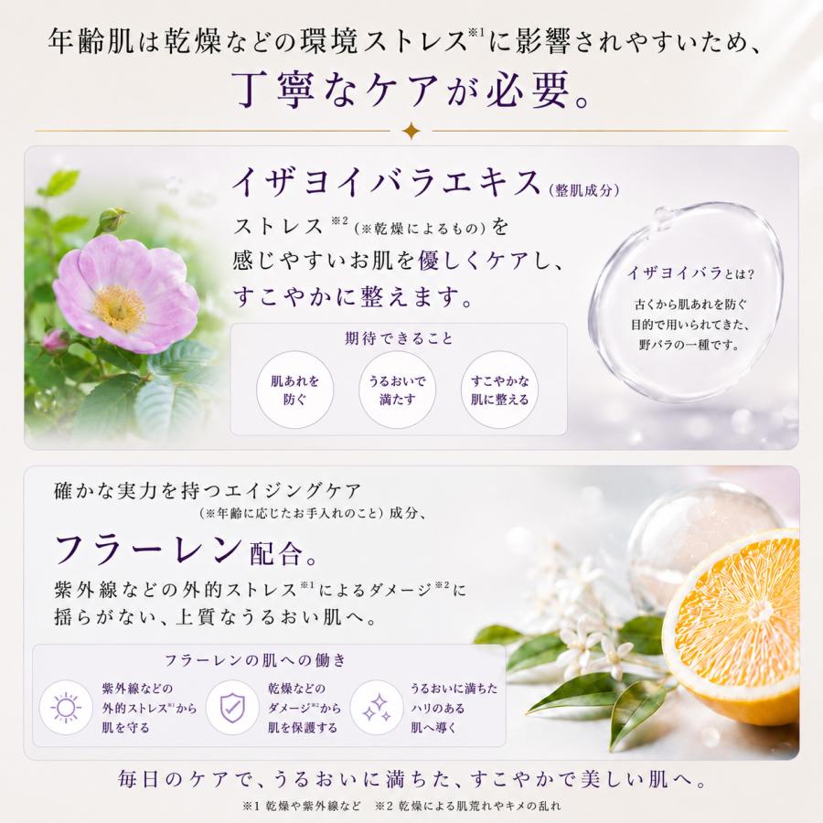 シートマスク24枚セット 植物幹細胞 ビフィズス菌培養液配合 高機能