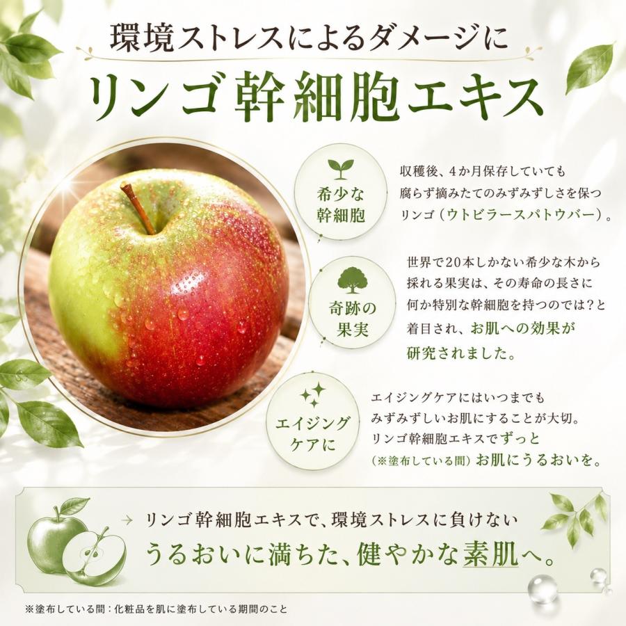 シートマスク24枚セット 植物幹細胞 ビフィズス菌培養液配合 高機能