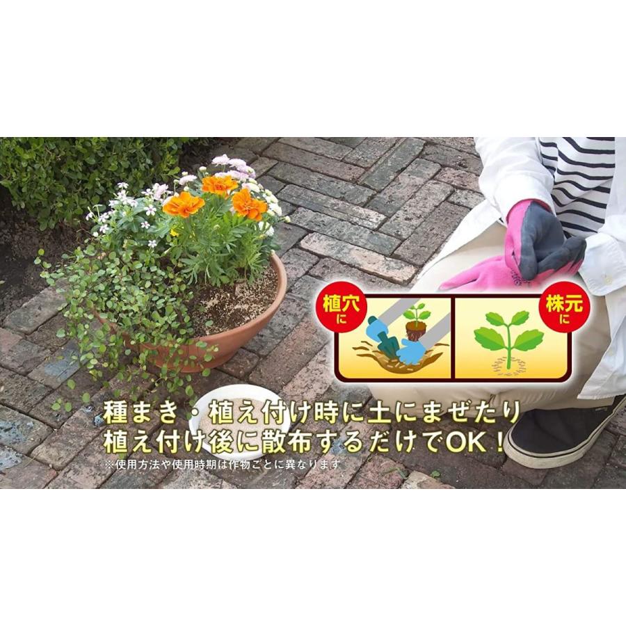 家庭園芸初 粒タイプの殺虫殺菌粒剤 病気に抵抗する強さを引き出し植物を丈夫にする 50 Off 病気に抵抗する強さを引き出し植物を丈夫にする