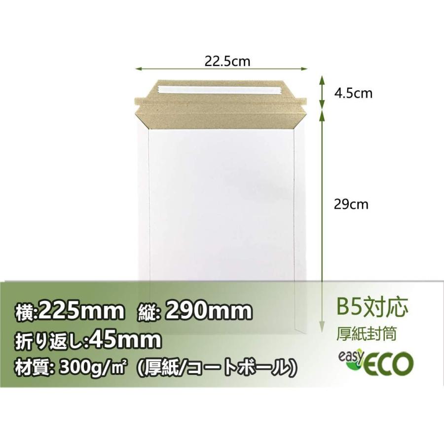 クラシック B5サイズ 10枚 厚紙 封筒 クリックポスト レターパック ダンボール 60 ゆうパケット レターケース宅配袋 ワンタッチ貼付テープ 開封 Fundaterapia Com