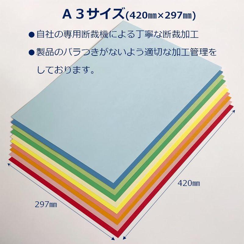 カラー コピー用紙 A3 最厚口 10色 30枚 色上質紙 厚紙 撮影用 背景紙 工作 0.18mm厚 55176｜give-joy-store｜03