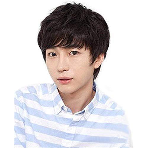 宅送 Remeehi人毛ウィッグ ショートウィッグ メンズ用 ストレート フルウィッグ ファッションウィッグ 男子用 自然 手植え 抗菌ネット 自然黒 Give Happiness 通販 Yahoo ショッピング 初回限定 Www Jolimmo Ch