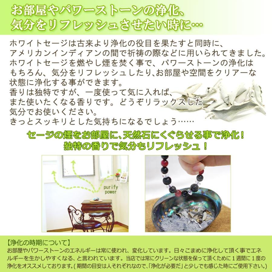 現在枝の長さ1cmから2cm程】ホワイトセージ 部屋 浄化 バー 現在枝の長さ1cmから2cm程】ホワイトセージ 部屋 浄化 バー