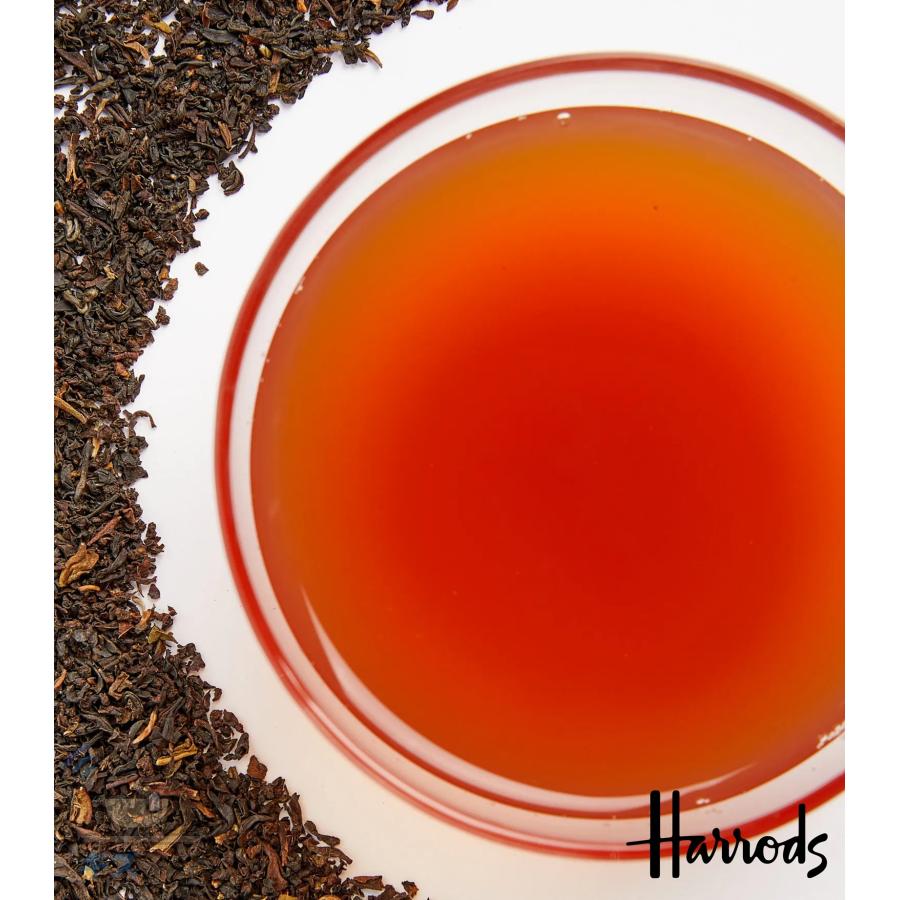 Harrods（ハロッズ） No.42アールグレイ EARL GREY 100ティーバッグ