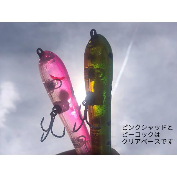 アカシブランド オリジナルNo.5 新色 ・ご予約受付（6月） : GIZMO