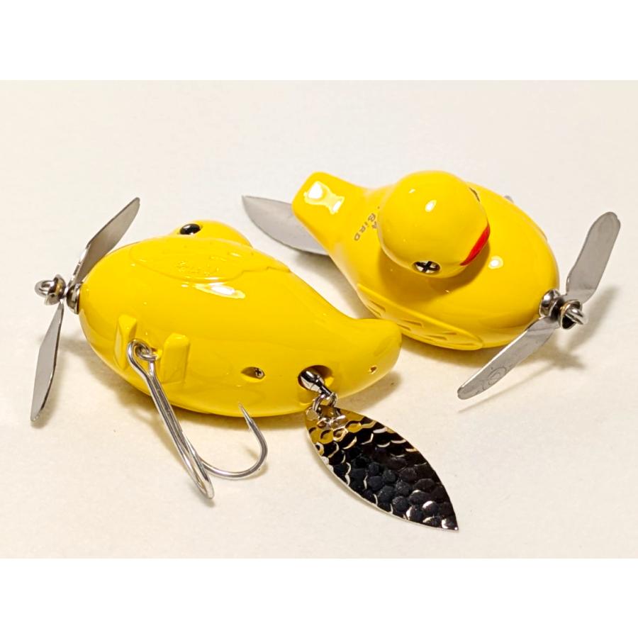 痴虫 プラカブメス プラカイバードミニ セット売り 痴虫】プラカイバードミニ | ウオヨロズ〜魚萬〜