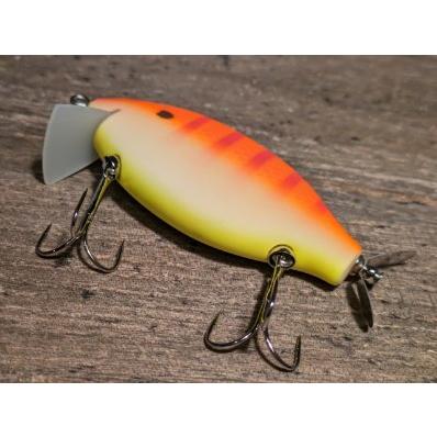 Amazon.co.jp: ガウラクラフト コシモニーJP オレンジガシラ