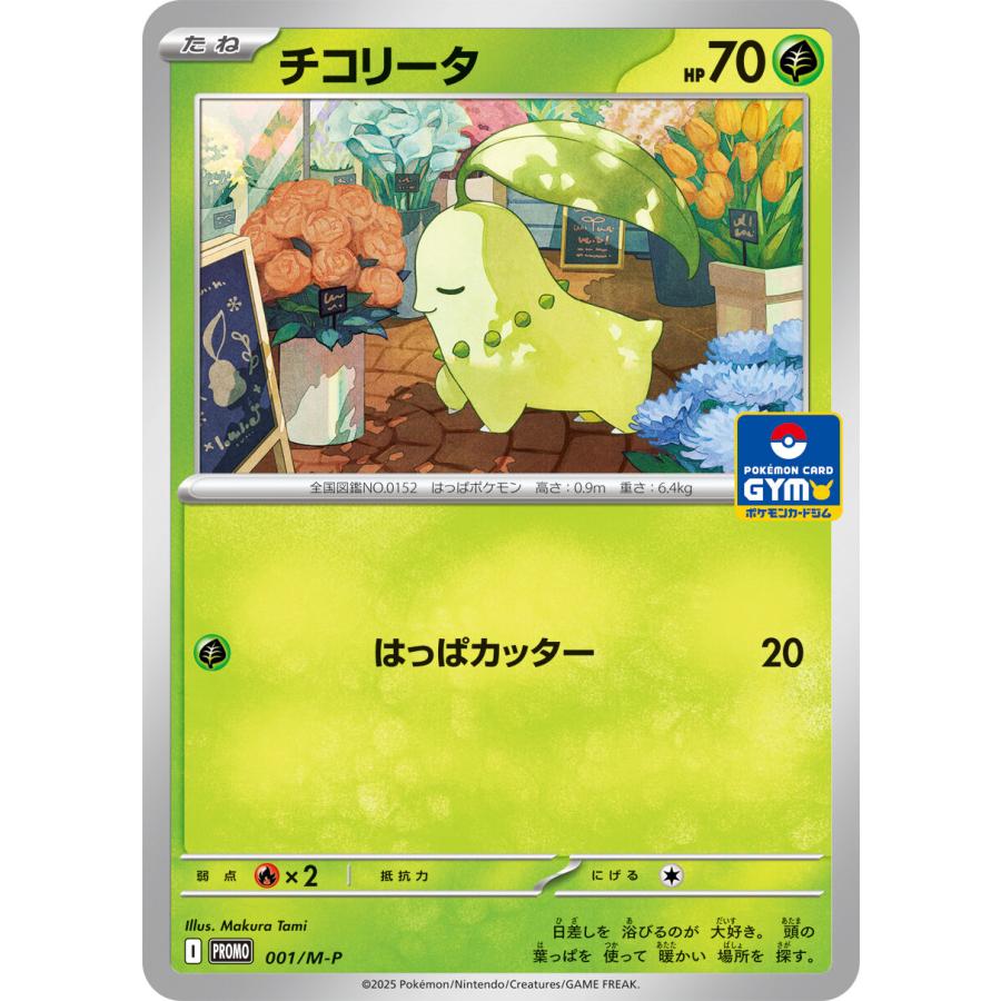 第1弾 2枚入り MEGA プロモカード ポケモンカードジム 全7種 非売品