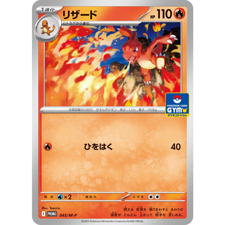第2弾 2枚入り MEGA プロモカード ポケモンカードジム 全7種 非売品