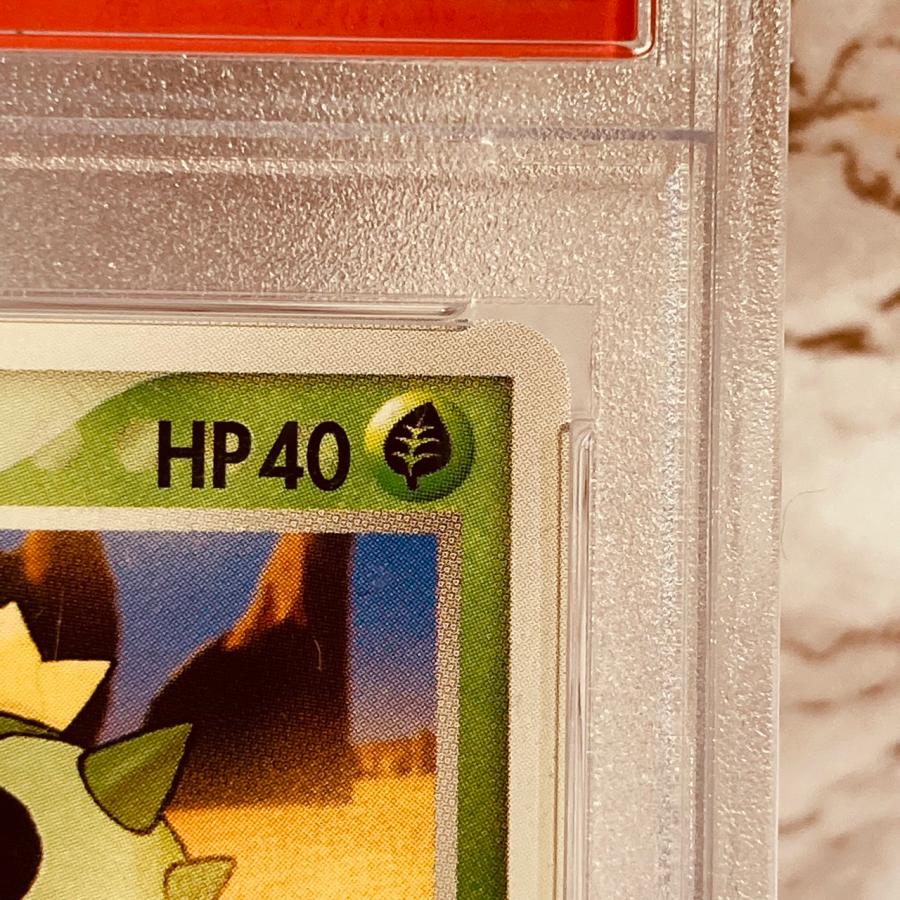 ポケモンカードゲーム 【世界に2枚】 PSA10 サボネア 064/PCG-P ポケモンカードゲーム 【世界に2枚】 PSA10 サボネア 064/PCG-P