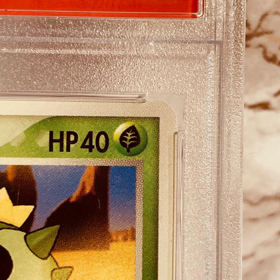 【世界に2枚】 PSA10 サボネア 064/PCG-P 明治チョコレート プロモ ポケモンカード ポケカ CACNEA MEIJI CHOCOLATE POKEMON CARD｜gjts｜05