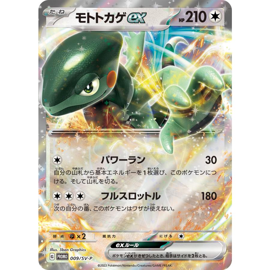 はじめようキャンペーン プロモ ポケモンカードゲーム はじめようキャンペーン プロモ ポケモンカードゲーム