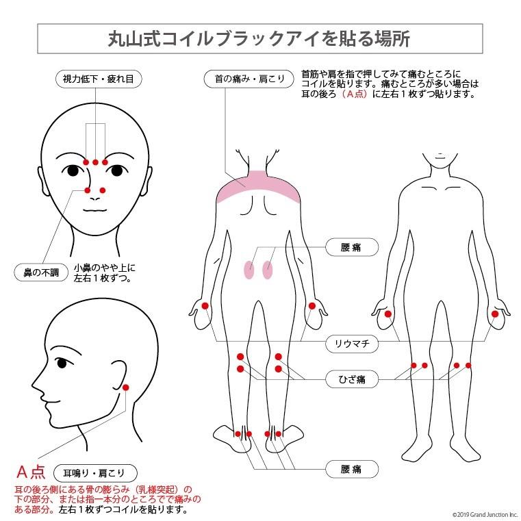 【完売】丸山式 コイル ブラックアイ 6個入り 電磁波対策 肩 こり 解消グッズ 首 腰痛 背中 |  | 07
