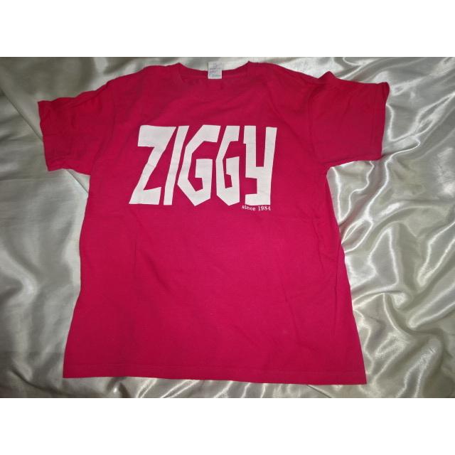 送料185円・H1068■ ZIGGY ピンクの Tシャツ　Mサイズ | 