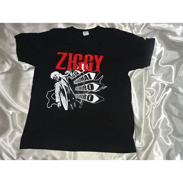 送料185円・H1103■ ZIGGY 森重樹一 Tシャツ　Mサイズ　2023年 北海道ツアー | 