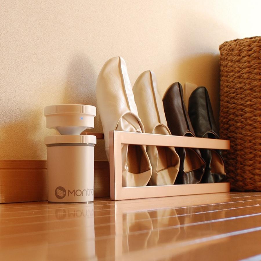 専用アダプター付き】ジアフリー 除菌消臭器 日本製 ウィルス対策 次亜