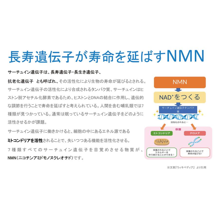 Nmn サプリ 国産 Nmn Renage Infinity Power ニコチンアミドモノヌクレオチド Nmnmg含有 健康食品 日本製 105粒 エヌエムエヌ Nad サーチュイン Nmnrenage Global Branding 通販 Yahoo ショッピング