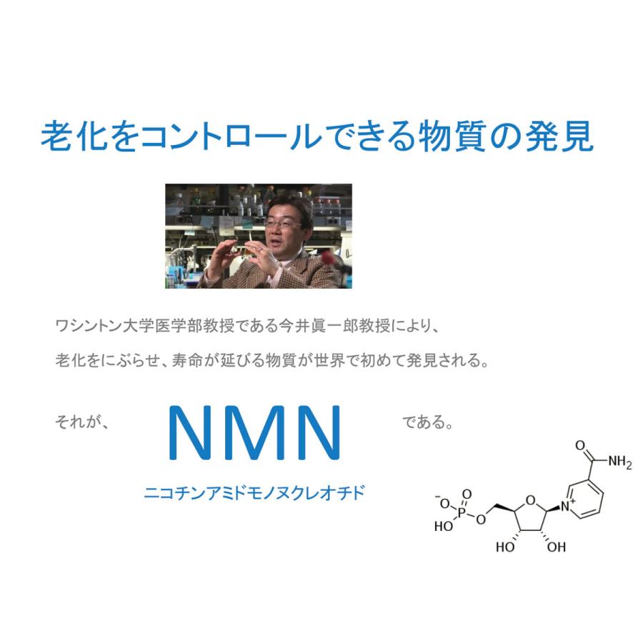 NMN サプリ 国産 NMN renage 6000 ニコチンアミドモノヌクレオチド