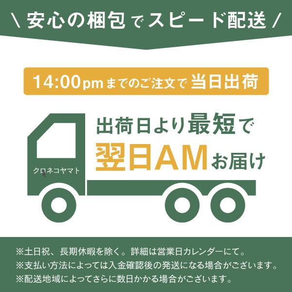 スタンダードショーツ グラモア キスするブラ 綿 レディース キスするブラ・キレイdeナイトブラ兼用 FT0233 返品交換不可 | glamore | 34