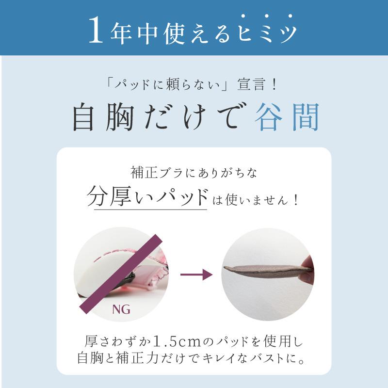 ブラジャー 育乳ブラ 脇肉 夏用 涼しい 谷間 補正 補整 30代 40代 50代 グラモアブラ COOL FT0401 初回返品交換0円の画像