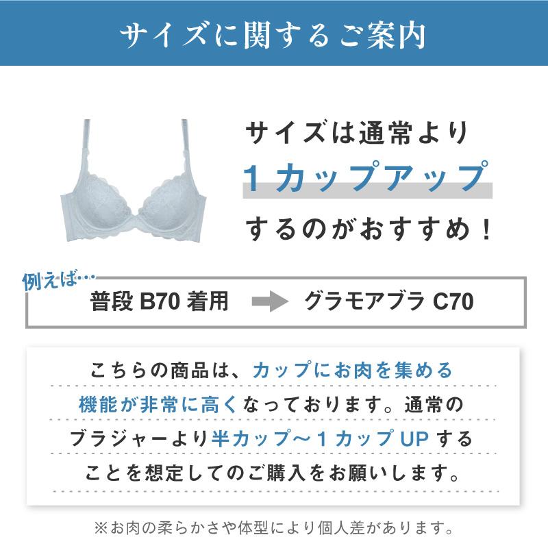 ブラジャー 育乳ブラ 脇肉 夏用 涼しい 谷間 補正 補整 30代 40代 50代 グラモアブラ COOL FT0401 初回返品交換0円の画像