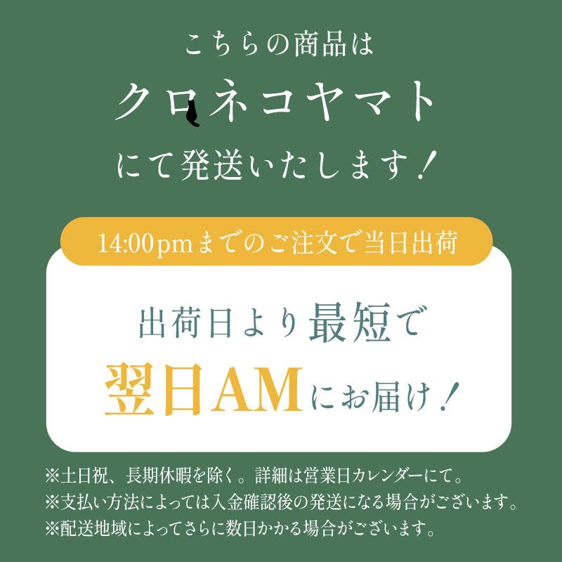 ブラジャー 育乳ブラ 脇肉 夏用 涼しい 谷間 補正 補整 30代 40代 50代 グラモアブラ COOL FT0401 初回返品交換0円の画像