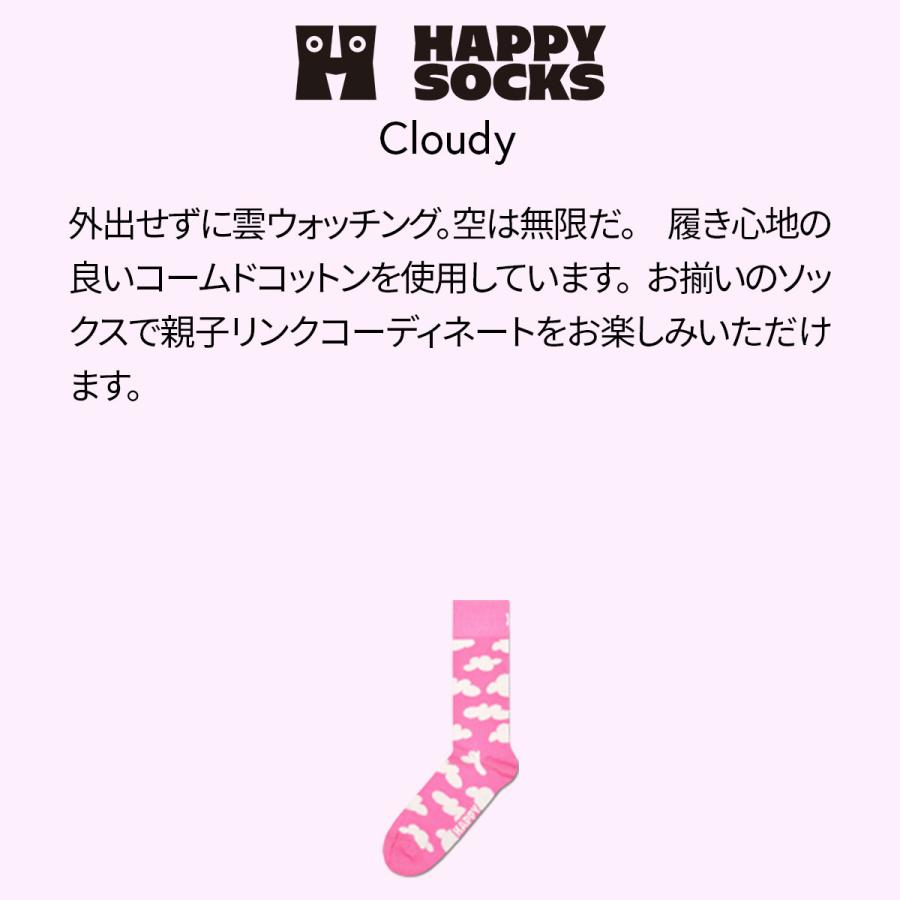 Happy Socks ハッピーソックス Cloudy クラウディ クルー丈 ソックス 靴下 ユニセックス メンズ レディス 10231066｜glanage｜04