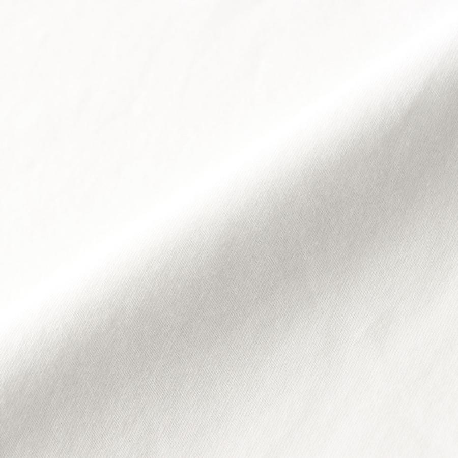 LACOSTE ラコステ CROCO PRINT T-SHIRTS グラフィカルクロコ クルーネック 半袖 Tシャツ ラウンジウェア EUサイズ 男性 メンズ ブランド 53135983｜glanage｜07