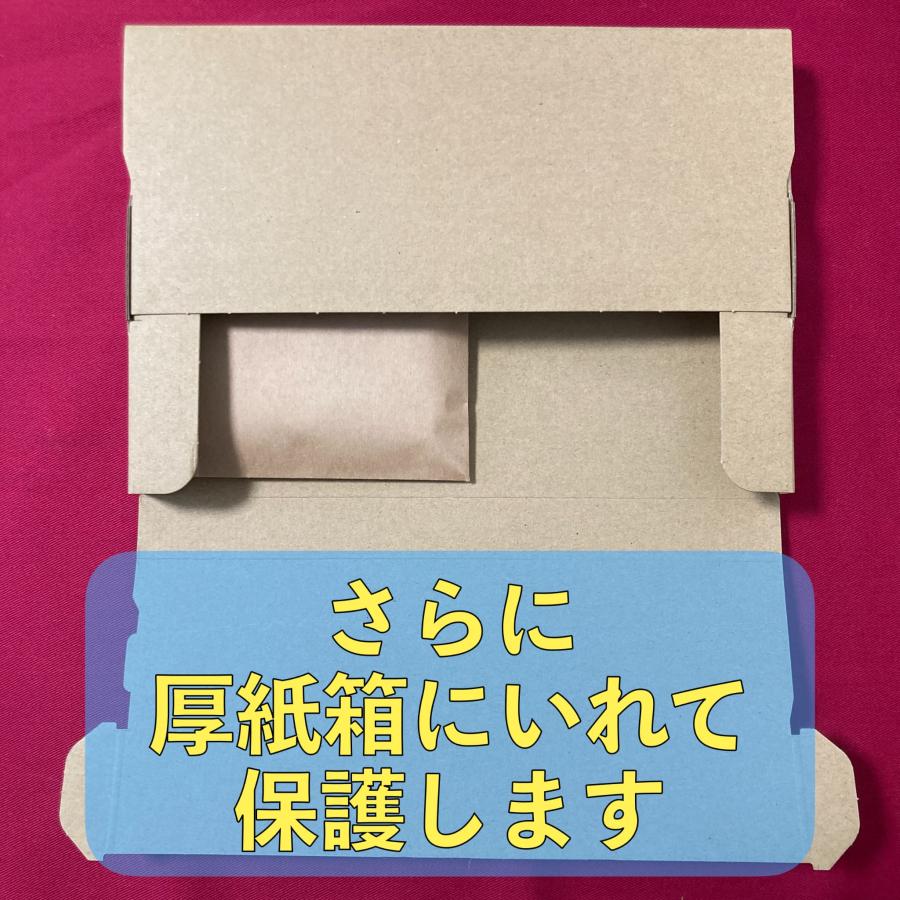 レジドラゴVSTARデッキ（シティリーグ優勝・ドラパルトex採用